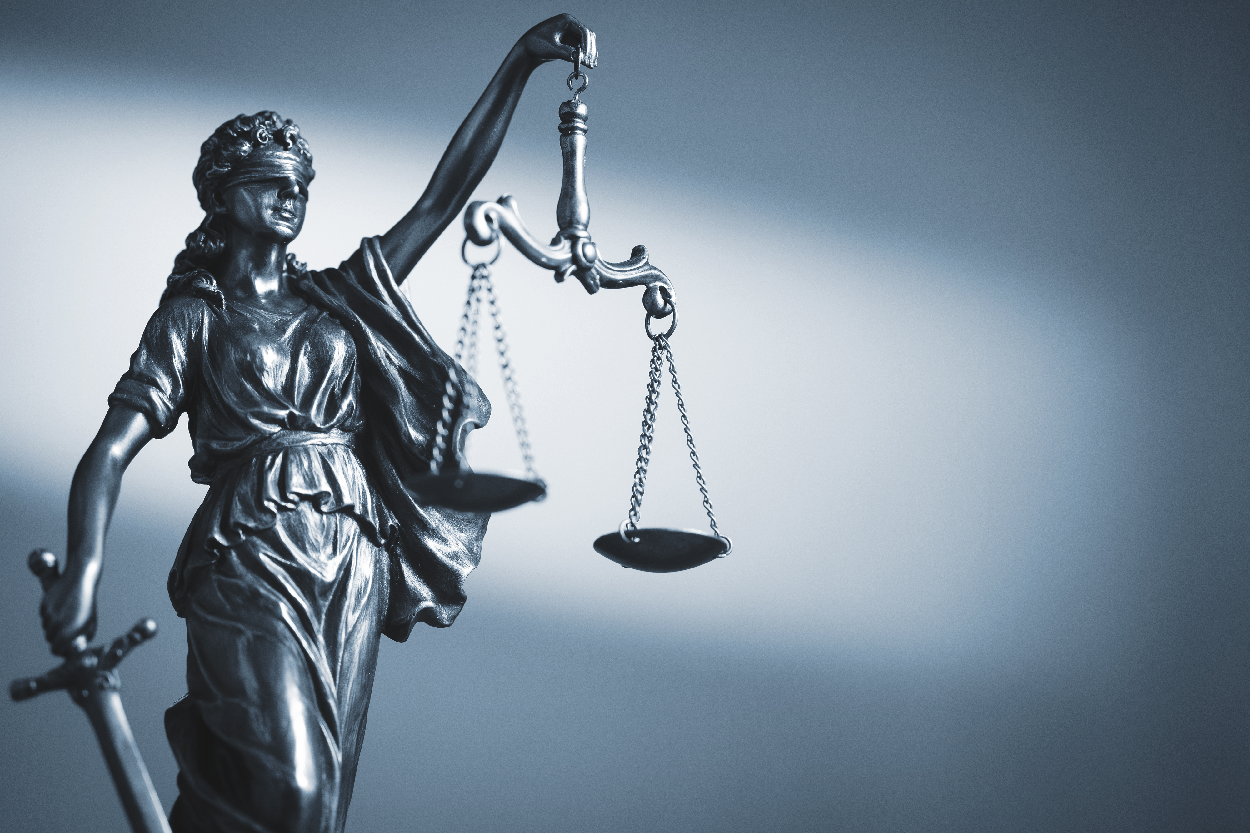 Nobi Law Story